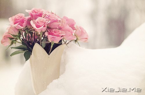 @ɽL(zhng)ˮh(yun)ĵ·KҪԼȥ (1)