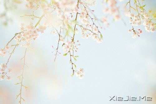 @ɽL(zhng)ˮh(yun)ĵ·KҪԼȥ (3)