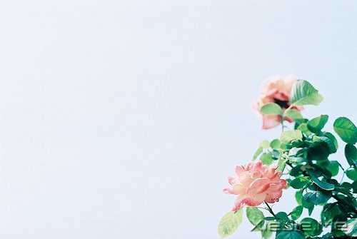 @ɽL(zhng)ˮh(yun)ĵ·KҪԼȥ (4)