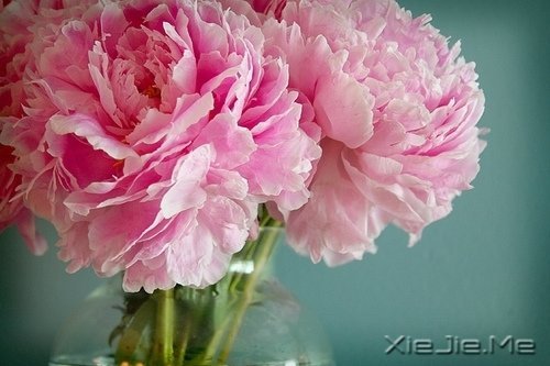 @ɽL(zhng)ˮh(yun)ĵ·KҪԼȥ (5)