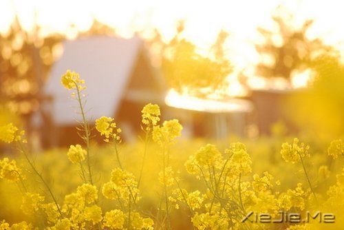 @ɽL(zhng)ˮh(yun)ĵ·KҪԼȥ (6)