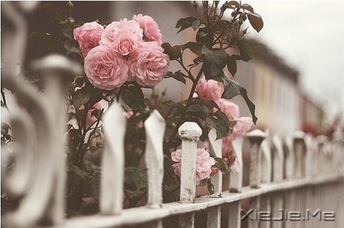 @ɽL(zhng)ˮh(yun)ĵ·KҪԼȥ (8)
