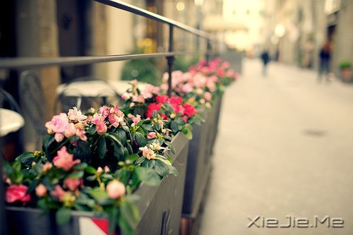 @ɽL(zhng)ˮh(yun)ĵ·KҪԼȥ (9)