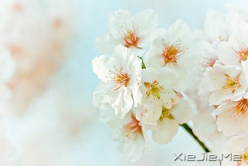 ǽKcՈ΢Цһֱǰ (2)