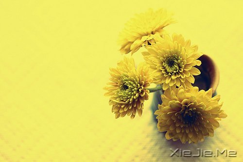 ǽKcՈ΢Цһֱǰ (4)