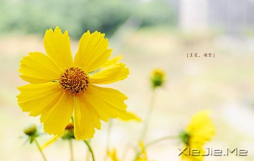 m(dng)?sh)ķŗ?yu)ŵD(zhun) (1)