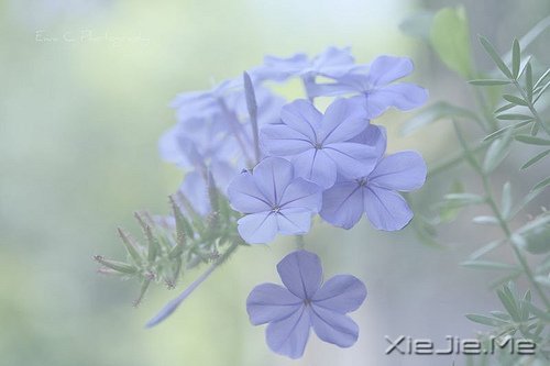 m(dng)?sh)ķŗ?yu)ŵD(zhun) (6)