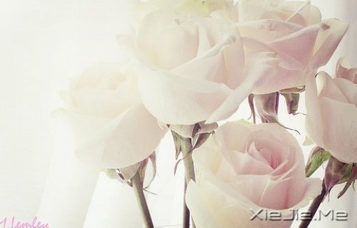 m(dng)?sh)ķŗ?yu)ŵD(zhun) (8)