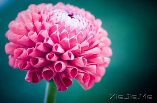簲ZȻһУ矟 (2)
