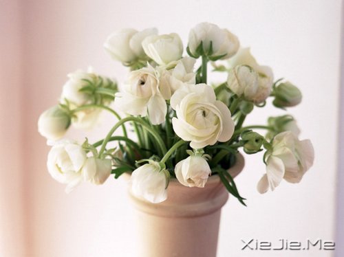 簲ZȻһУ矟 (3)