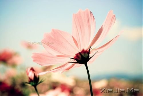 簲Zһ˵ (1)