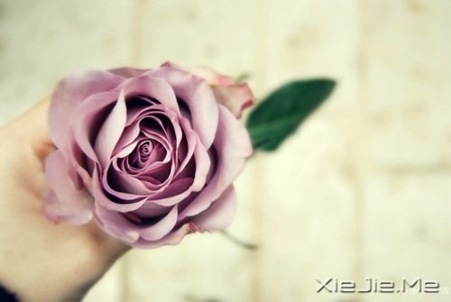 簲Zһ˵ (4)