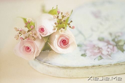 簲Zһ˵ (5)