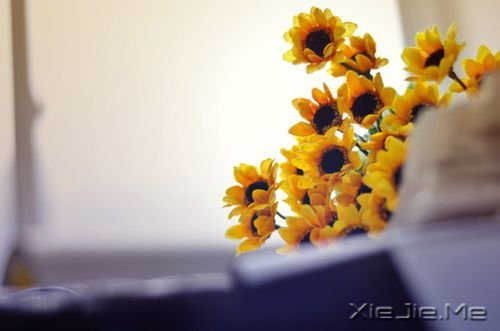 簲Zһ˵ (6)
