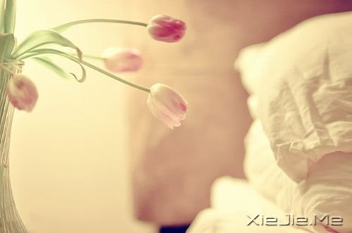 簲Zһ˵ (7)