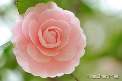 簲ZȻһУ矟 (6)