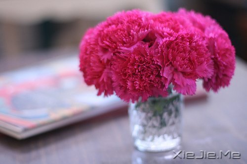 Zʰ飬· (1)