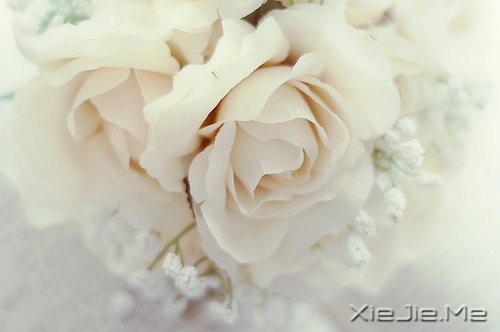 Zʰ· (6)