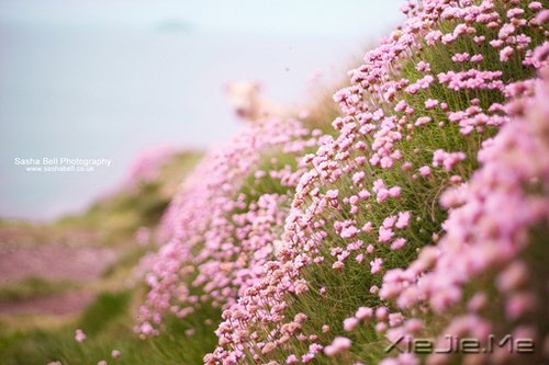 ZıoȾoȻ (1)
