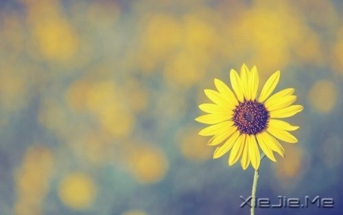 Z΢ЦȥȴõԼ (4)