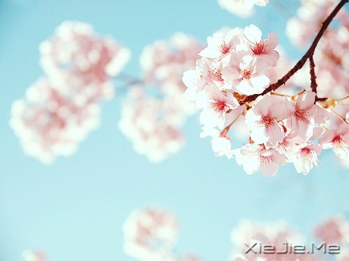 Z΢ЦȥȴõԼ (5)