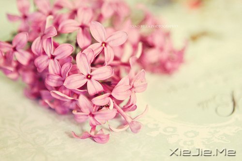 Z΢ЦȥȴõԼ (6)
