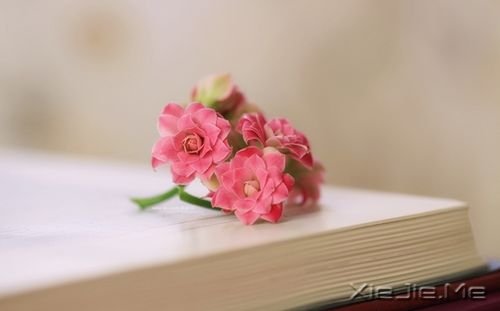 簲Z̲ʹҊҸ (1)