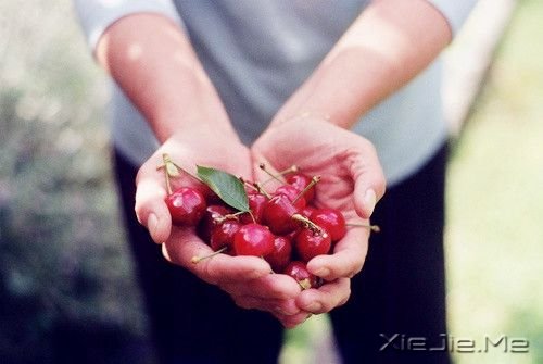 ZҺƽҪһo (3)