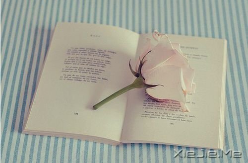 Z㶮Ոϧ (5)