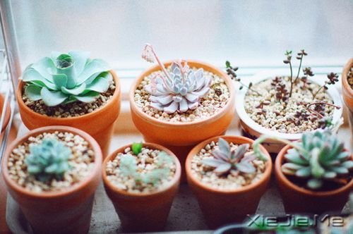 Z㶮Ոϧ (8)
