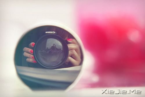 Z\ЦȻ (6)