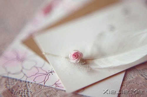 Zѽ(jng)^ȥĚqloܞ (5)