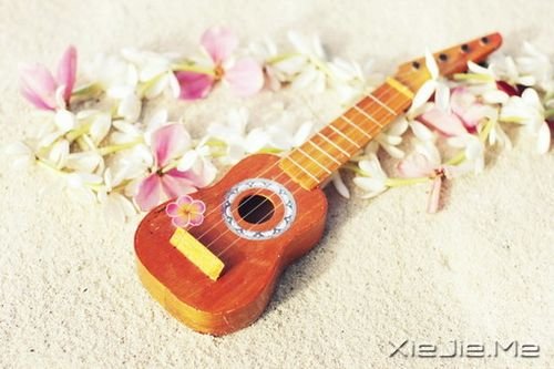 Z澳׌҂׃ø(jin)(qing) (5)