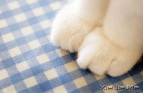 Z҂҂ŕ˴Ҫ (3)