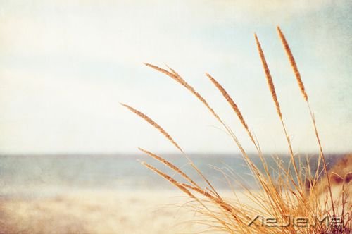 ZõĿ(hu)ڲ(jng)gF(xin) (3)