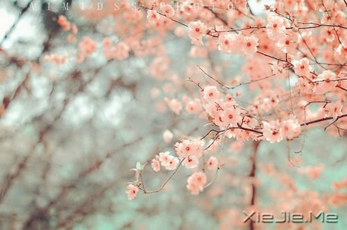 ZõĿ(hu)ڲ(jng)gF(xin) (10)
