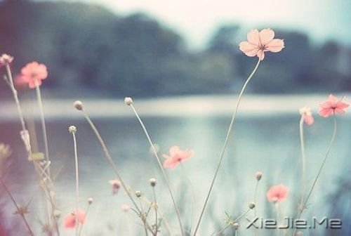 ZõĿ(hu)ڲ(jng)gF(xin) (8)