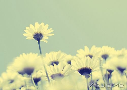 簲ZֻҪM (2)