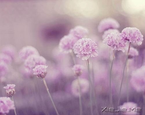 簲ZֻҪM (5)