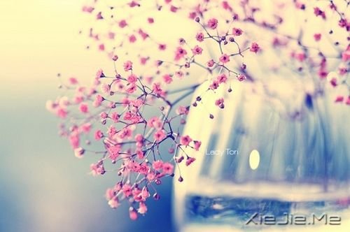 簲ZֻҪM (7)