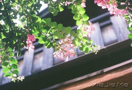 簲ZĺСҪb̫n (2)