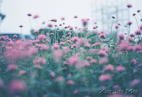 簲ZĺСҪb̫n (9)