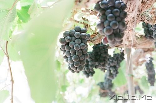簲Zֻн(jng)ƽo@o挍(sh) (2)