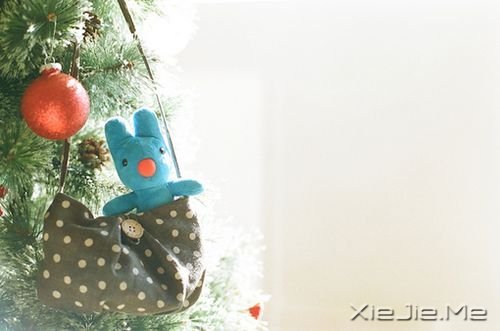 簲Zֻн(jng)ƽo@o挍(sh) (4)
