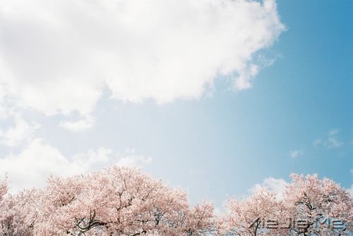 簲Zֻн(jng)ƽo@o挍(sh) (6)