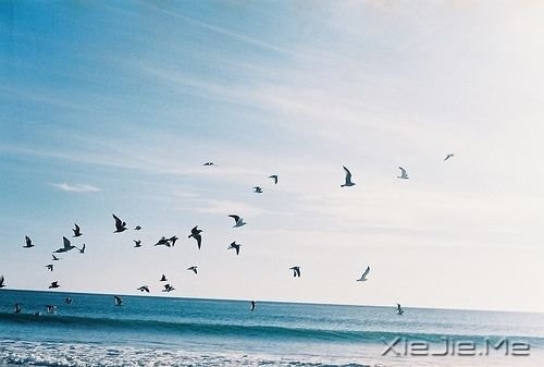 簲Zжԓж(jin)(qing) (1)