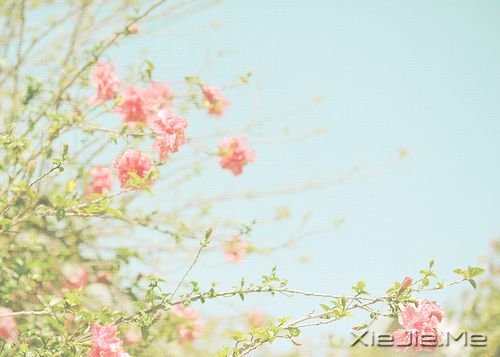 簲Z(y)L(fng)Ҳ(yng) (2)