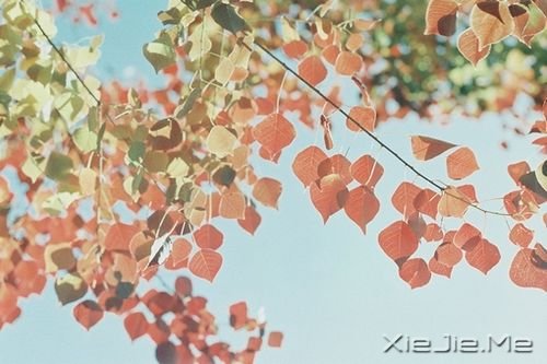 簲ZԼxҪ (1)
