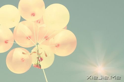 簲ZԼxҪ (2)