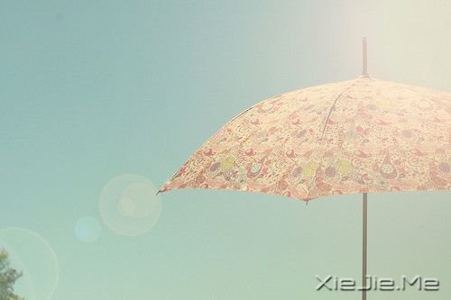 簲ZԼxҪ (3)
